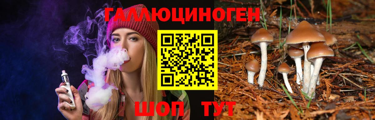 Псилоцибиновые грибы мицелий  Вход с VPN  Торжок 