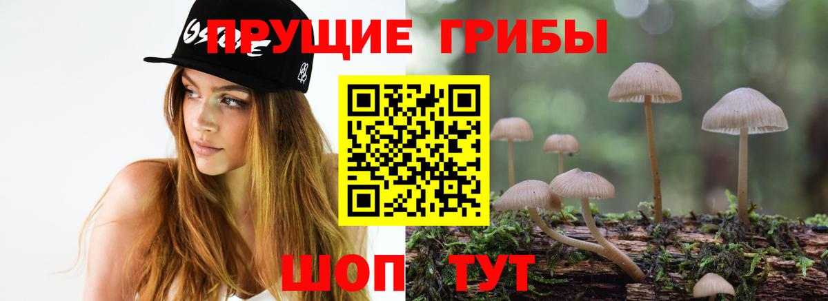 Псилоцибиновые грибы MAGIC MUSHROOMS Торжок